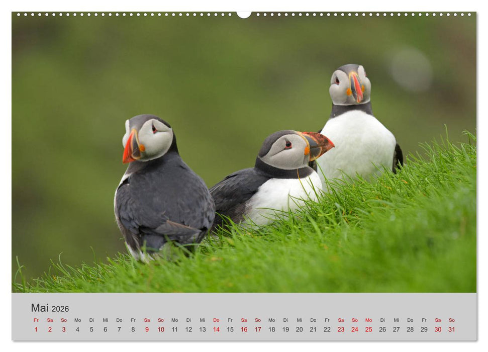 Färöer Inseln 2026 (CALVENDO Premium Wandkalender 2026)