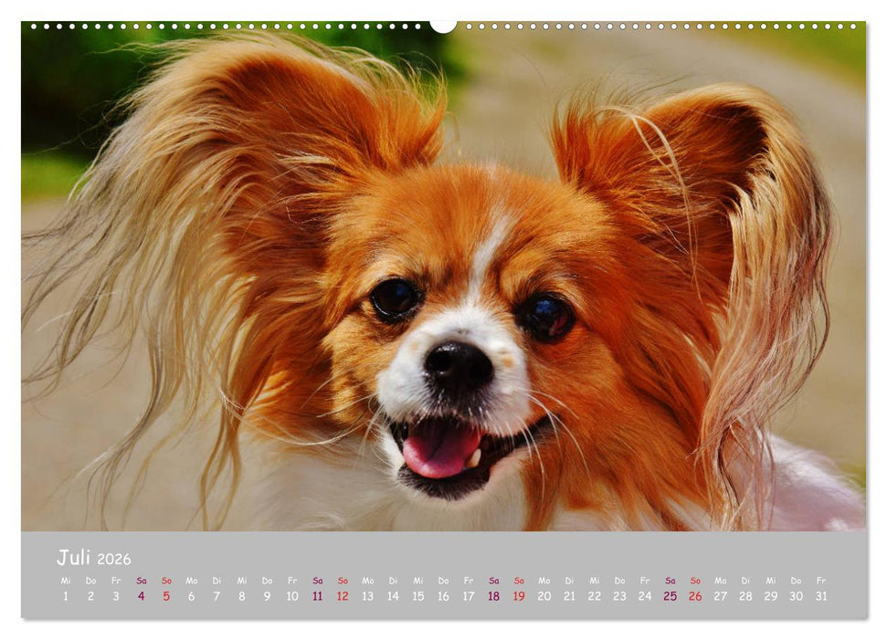 Dein Hund der treue Begleiter (CALVENDO Premium Wandkalender 2026)