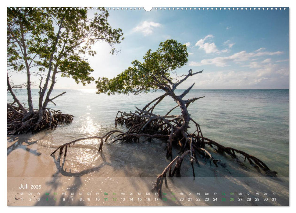KUBA - Eine Zeitreise (CALVENDO Premium Wandkalender 2026)