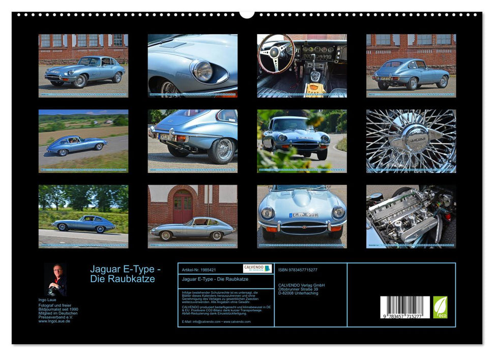 Jaguar E-Type - Die Raubkatze (CALVENDO Premium Wandkalender 2026)