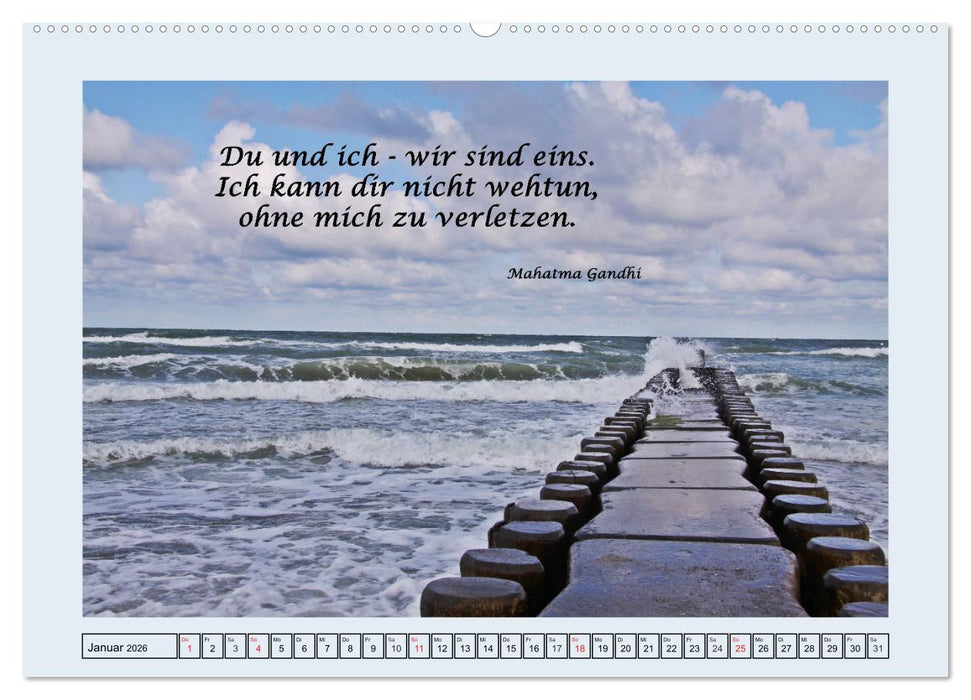 Zitate und Weisheiten (CALVENDO Premium Wandkalender 2026)