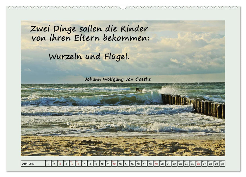 Zitate und Weisheiten (CALVENDO Premium Wandkalender 2026)