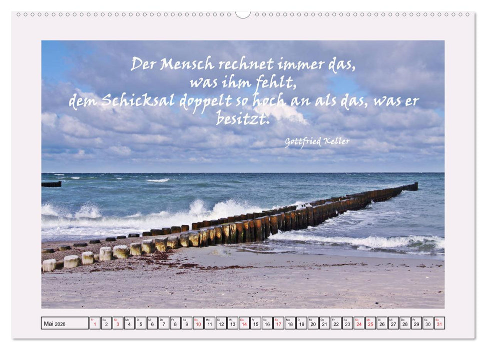 Zitate und Weisheiten (CALVENDO Premium Wandkalender 2026)