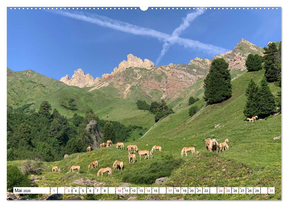 Seiser Alm Sommer (CALVENDO Wandkalender 2026)