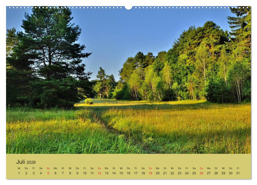 Stressfreie Zone! Parks und grüne Oasen in Augsburg (CALVENDO Premium Wandkalender 2026)