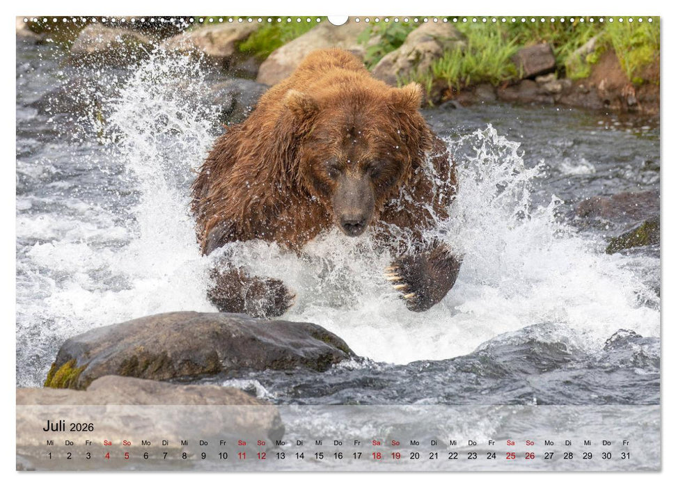 Aug in Aug mit den Braunbären in Kamtschatka (CALVENDO Premium Wandkalender 2026)