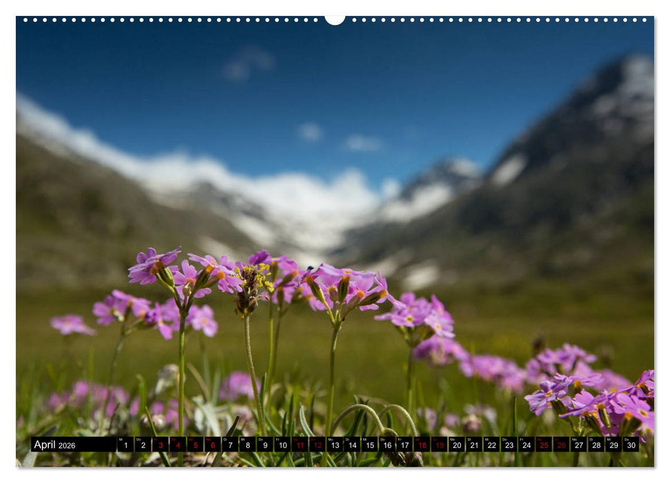 Nationalpark Gran Paradiso (CALVENDO Premium Wandkalender 2026)