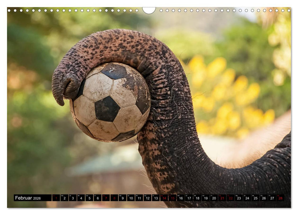 Thailand abseits der Strände (CALVENDO Wandkalender 2026)