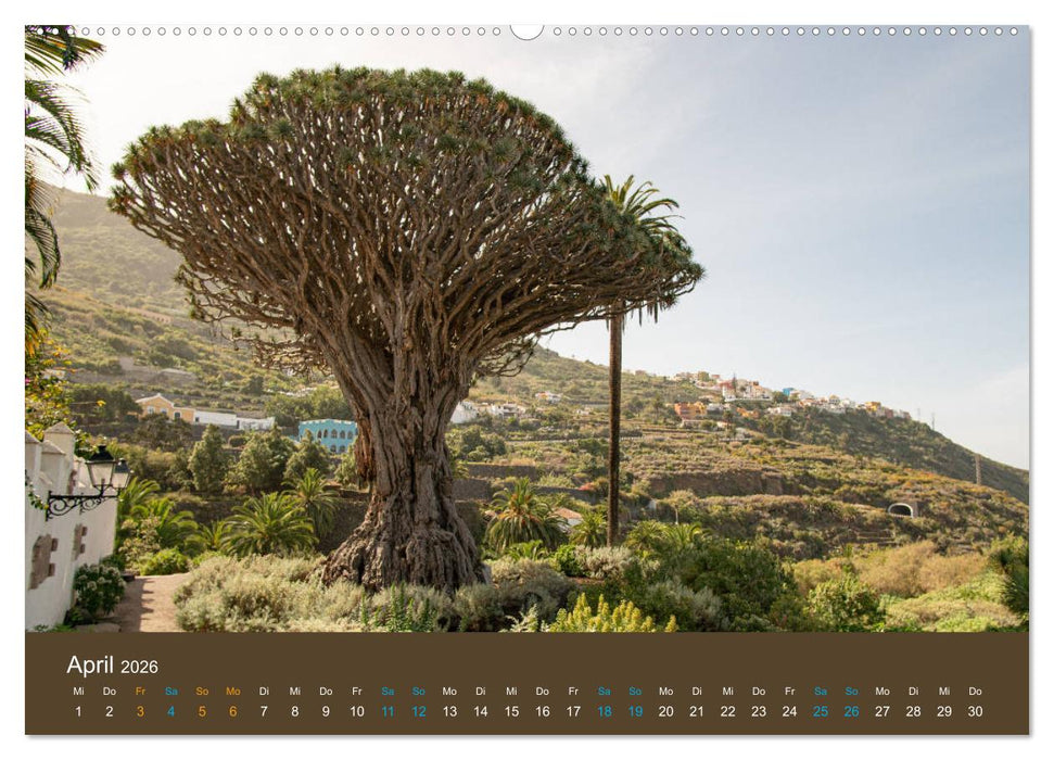 Wundervolles Teneriffa (CALVENDO Wandkalender 2026)