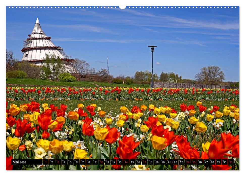 Elberadweg von Lutherstadt Wittenberg bis Hitzacker (CALVENDO Premium Wandkalender 2026)