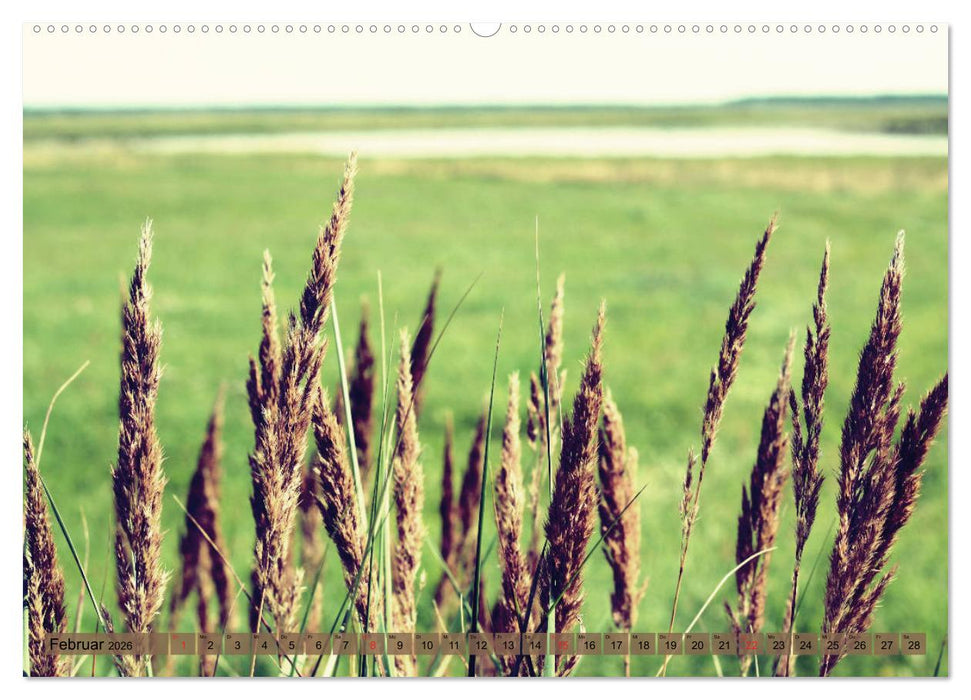 Focus Natur (CALVENDO Premium Wandkalender 2026)