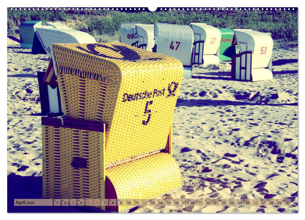 Focus Natur (CALVENDO Premium Wandkalender 2026)