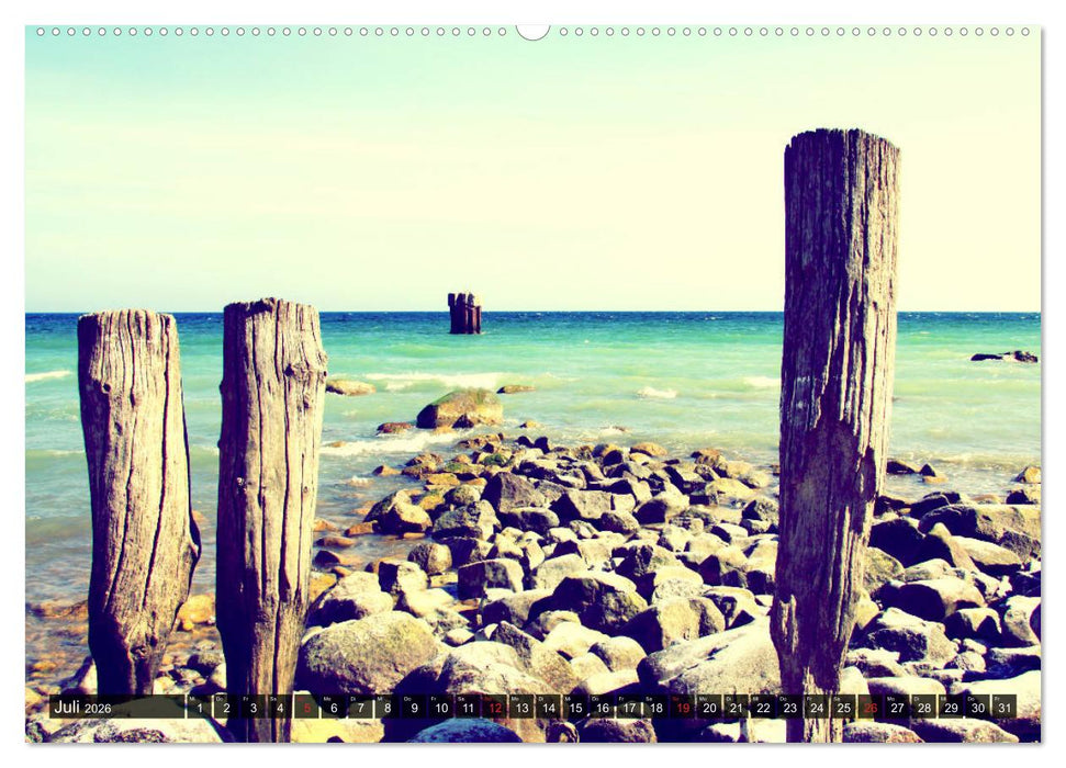 Focus Natur (CALVENDO Premium Wandkalender 2026)