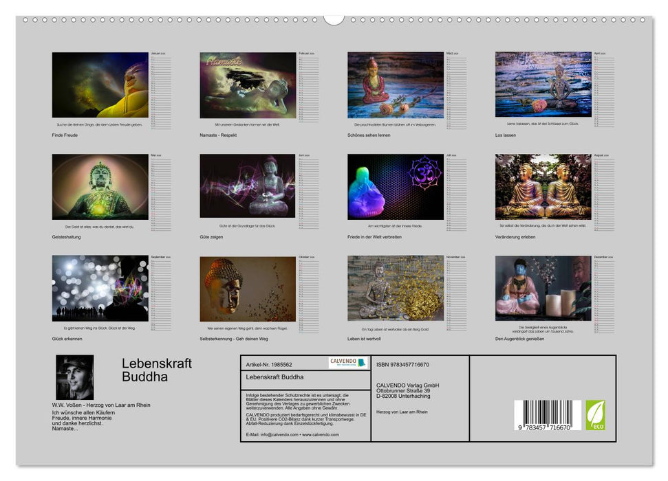 Lebenskraft Buddha (CALVENDO Premium Wandkalender 2026)