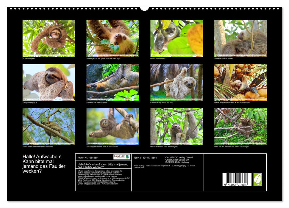 Hallo! Aufwachen! Kann bitte mal jemand das Faultier wecken? (CALVENDO Premium Wandkalender 2026)