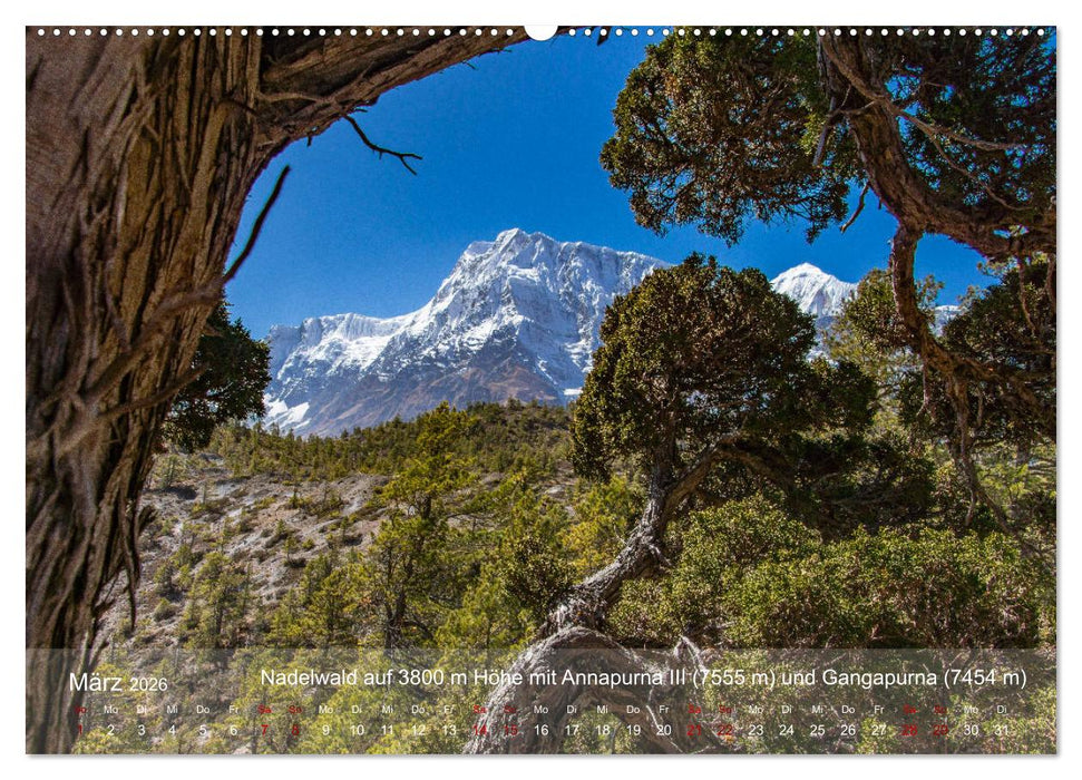 NEPAL - rund um die Annapurna (CALVENDO Wandkalender 2026)