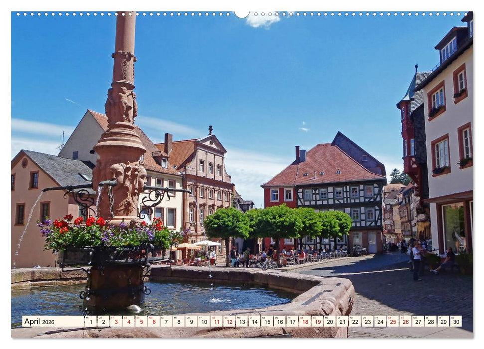 Liebenswertes Miltenberg am Main (CALVENDO Premium Wandkalender 2026)