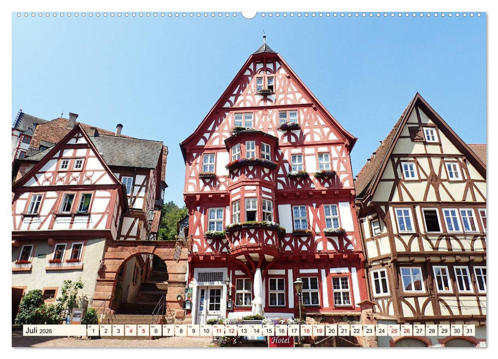 Liebenswertes Miltenberg am Main (CALVENDO Premium Wandkalender 2026)