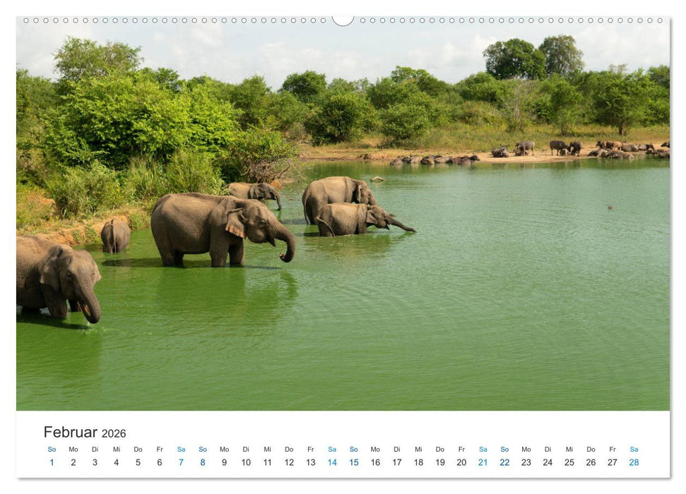 Traumziel Sri Lanka (CALVENDO Wandkalender 2026)