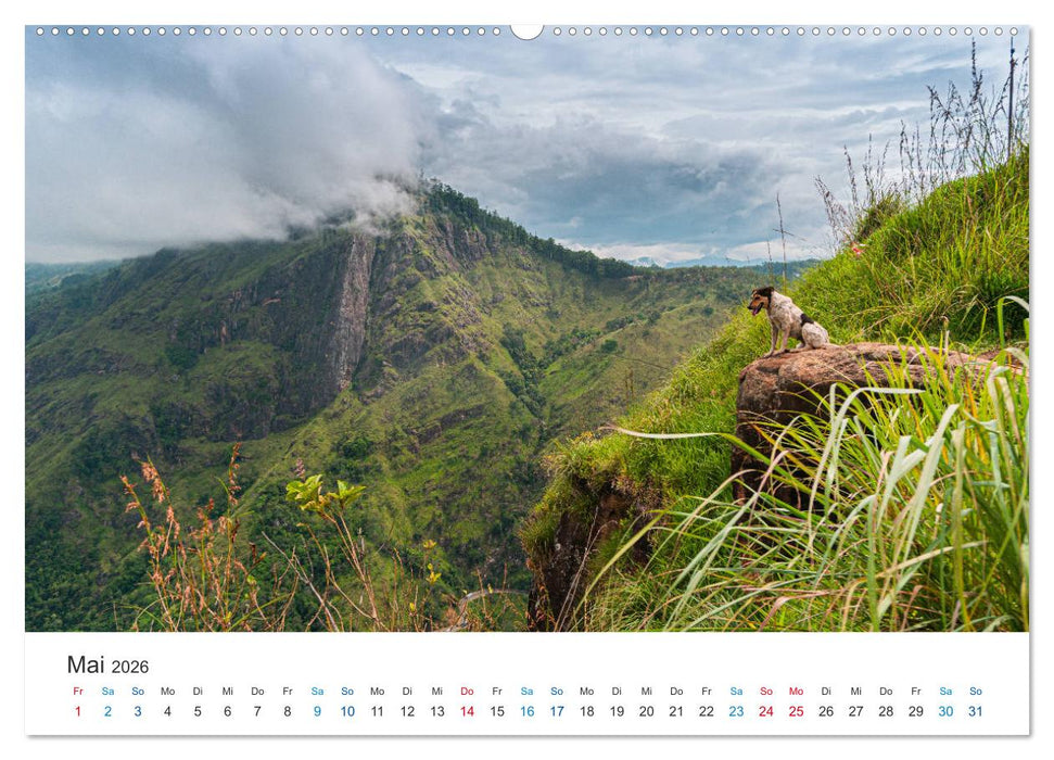 Traumziel Sri Lanka (CALVENDO Wandkalender 2026)