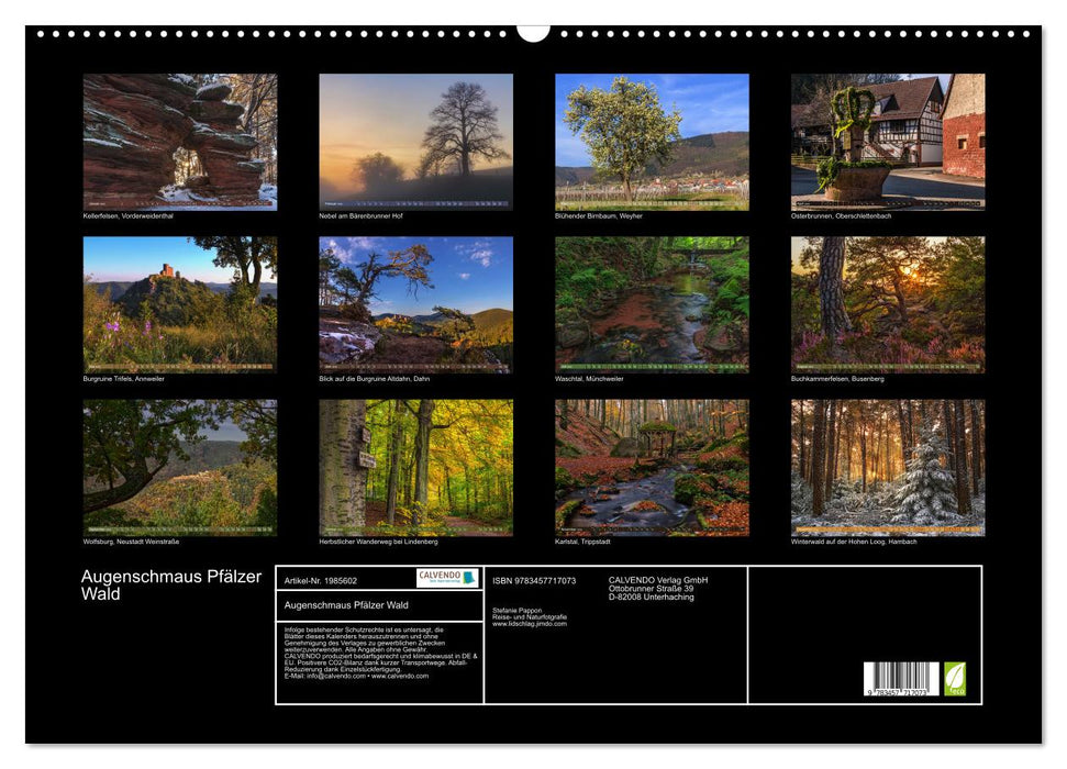 Augenschmaus Pfälzer Wald (CALVENDO Wandkalender 2026)