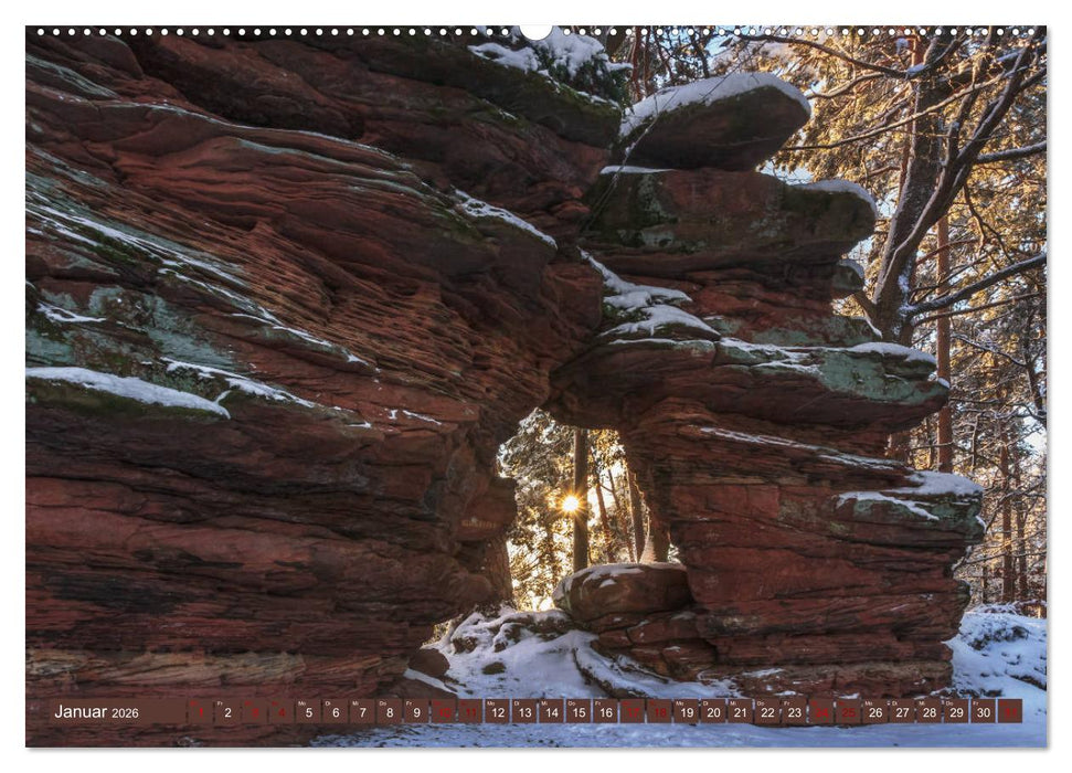 Augenschmaus Pfälzer Wald (CALVENDO Wandkalender 2026)