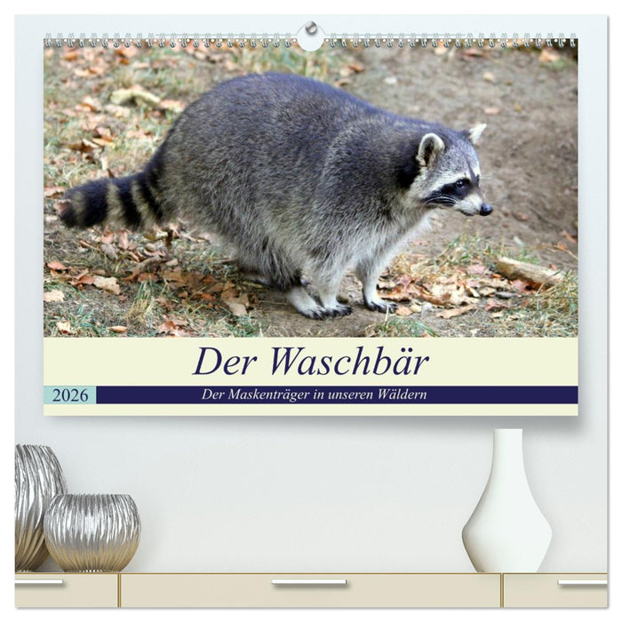 Der Waschbär - Der Maskenträger in unseren Wäldern (CALVENDO Premium Wandkalender 2026)