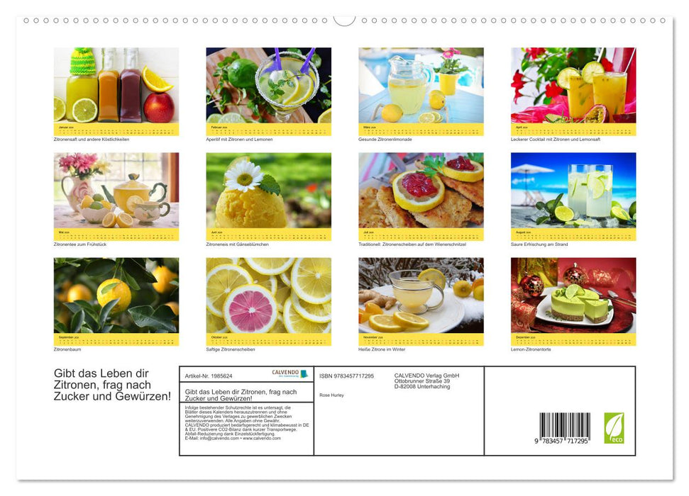 Gibt das Leben dir Zitronen, frag nach Zucker und Gewürzen! (CALVENDO Premium Wandkalender 2026)