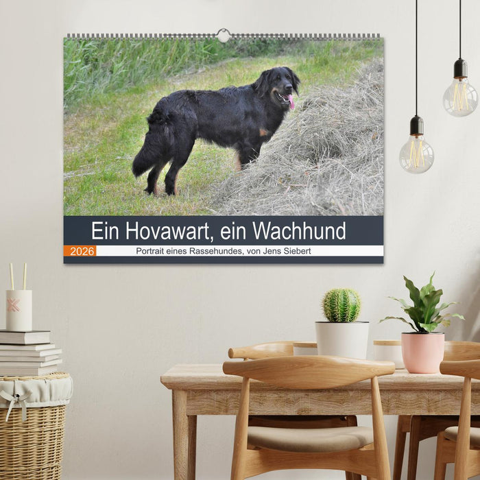 Ein Hovawart, ein Wachhund (CALVENDO Wandkalender 2026)