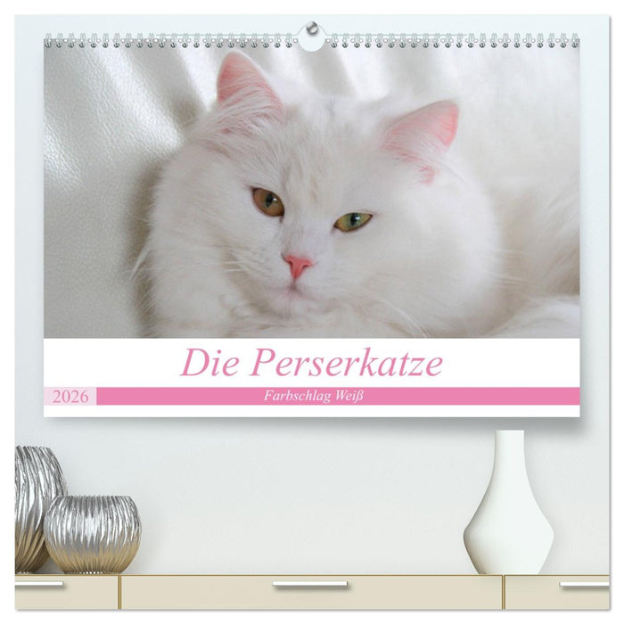 Die Perserkatze - Farbschlag Weiß (CALVENDO Premium Wandkalender 2026)
