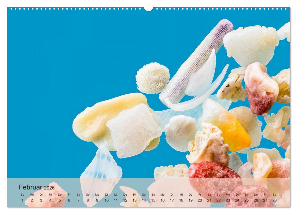 rosaroter korallensand (CALVENDO Premium Wandkalender 2026)