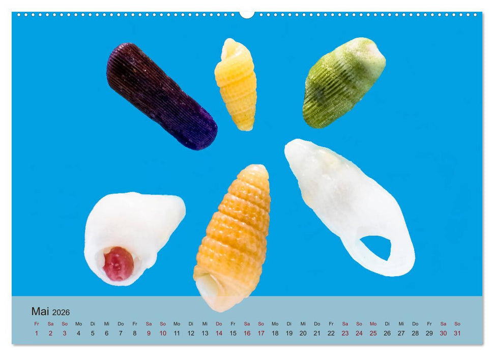 rosaroter korallensand (CALVENDO Premium Wandkalender 2026)