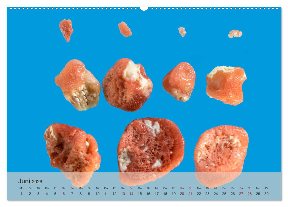 rosaroter korallensand (CALVENDO Premium Wandkalender 2026)