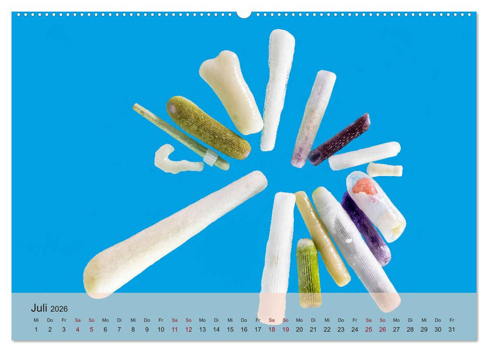 rosaroter korallensand (CALVENDO Premium Wandkalender 2026)