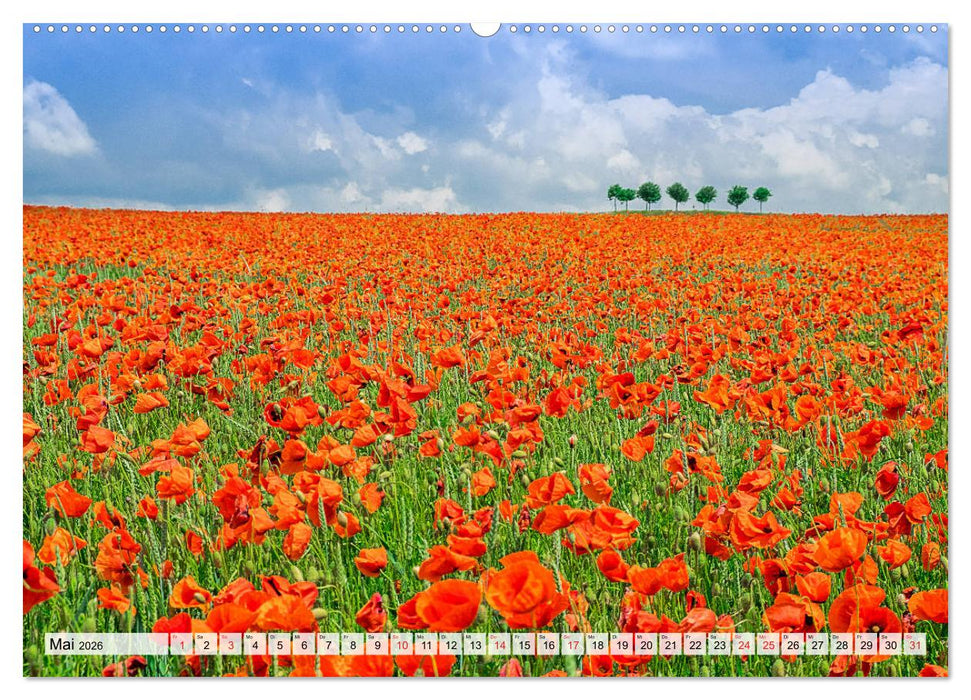 Norddeutsche Landschaften (CALVENDO Premium Wandkalender 2026)