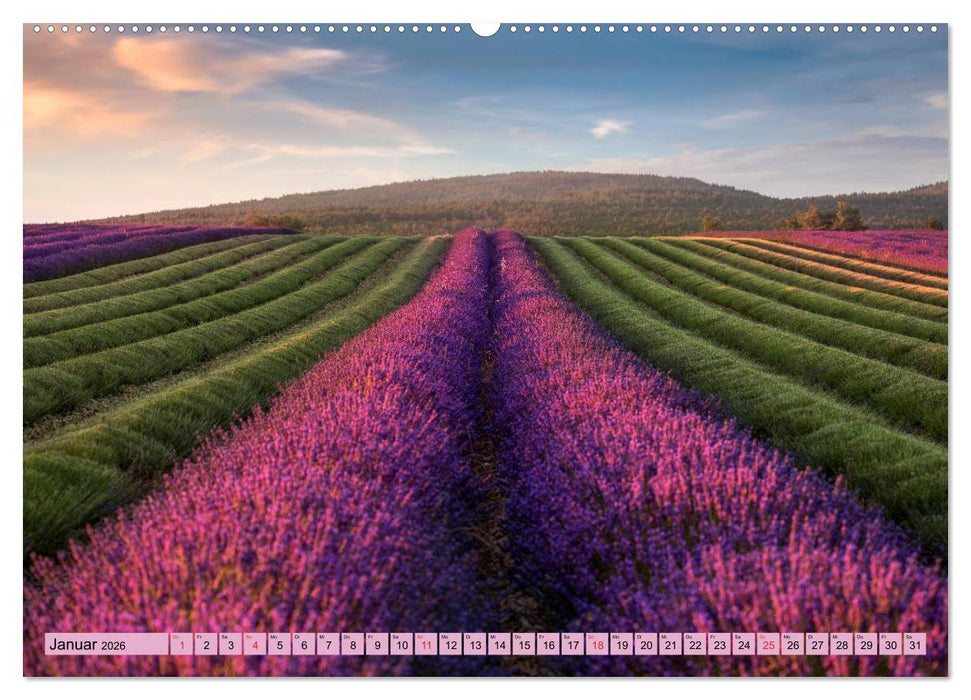 Provence, Lavendelzeit in Südfrankreich (CALVENDO Premium Wandkalender 2026)