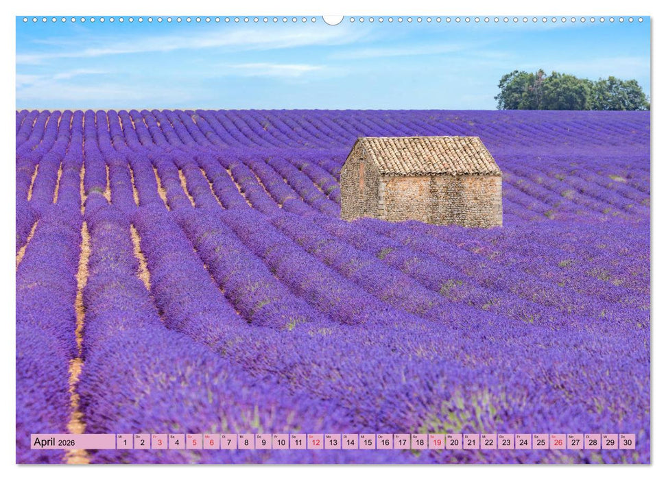 Provence, Lavendelzeit in Südfrankreich (CALVENDO Premium Wandkalender 2026)