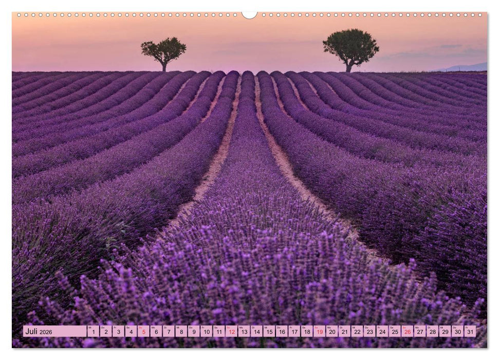 Provence, Lavendelzeit in Südfrankreich (CALVENDO Premium Wandkalender 2026)