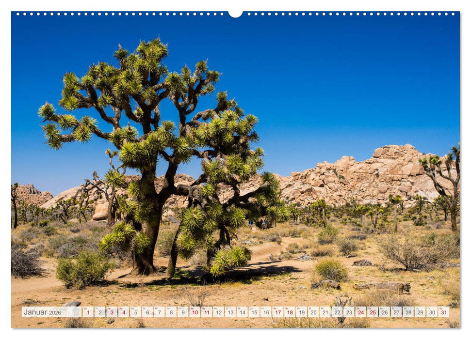 Der Südwesten der USA - Rundreise (CALVENDO Premium Wandkalender 2026)