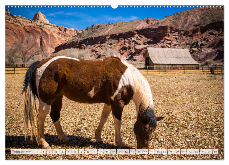 Der Südwesten der USA - Rundreise (CALVENDO Premium Wandkalender 2026)