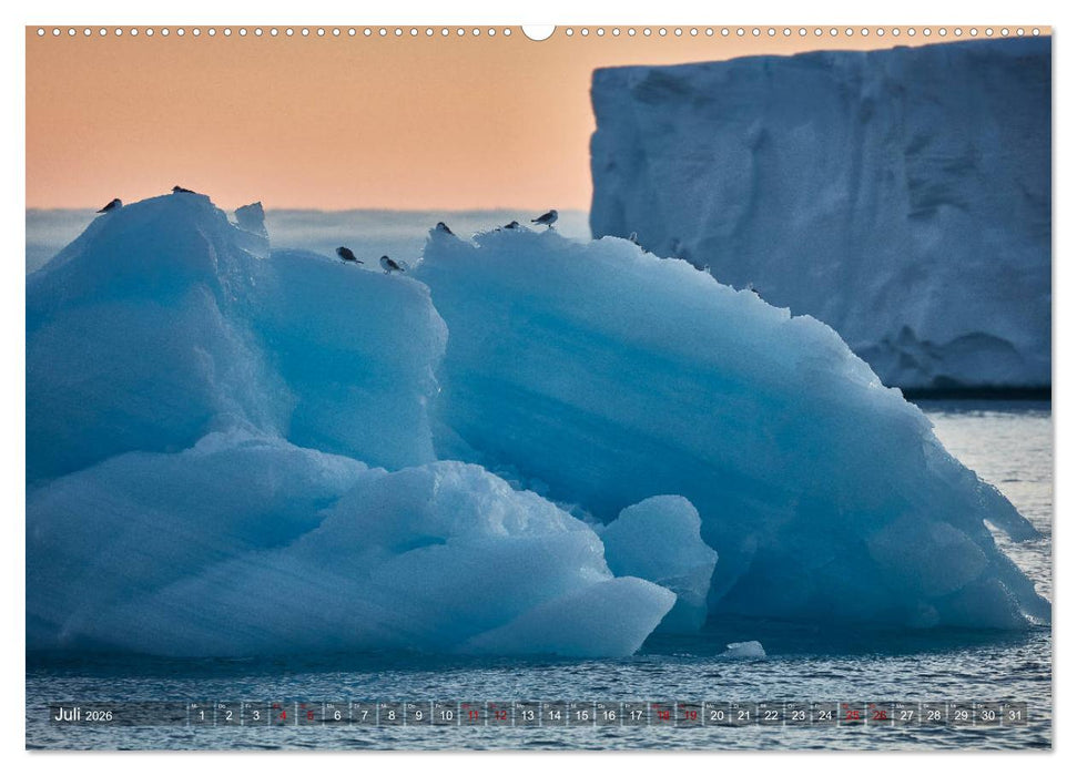 Svalbard-Momente (CALVENDO Premium Wandkalender 2026)