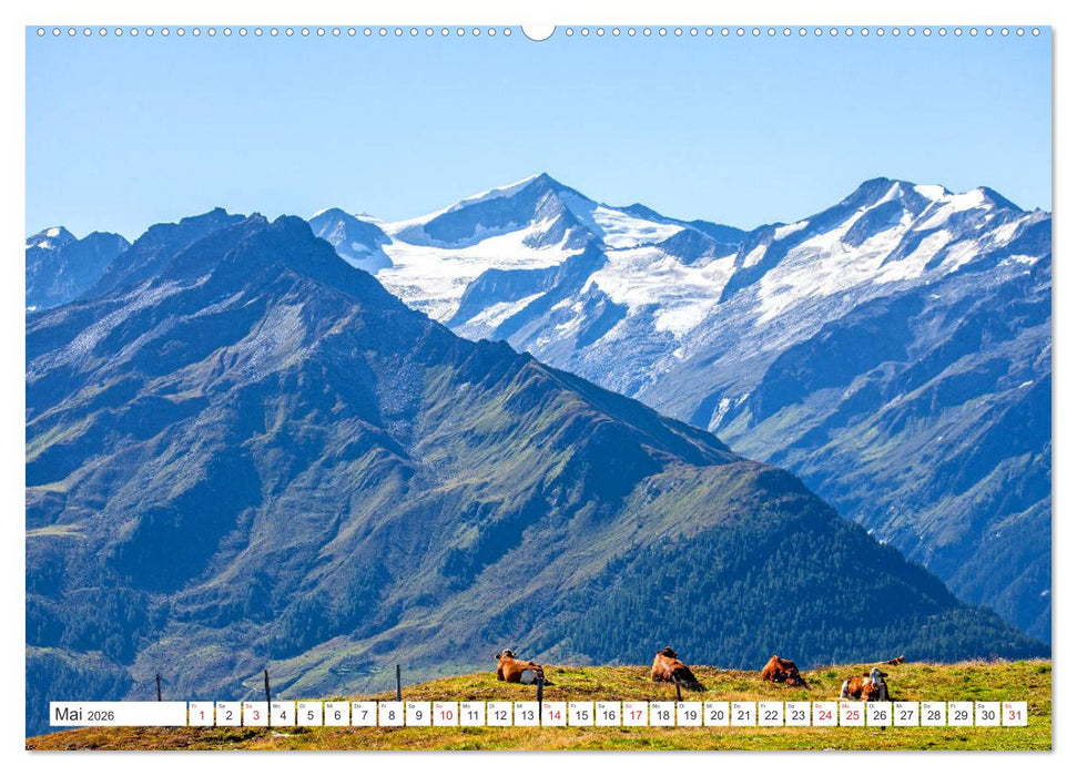 Es grüßt der Großvenediger (CALVENDO Wandkalender 2026)