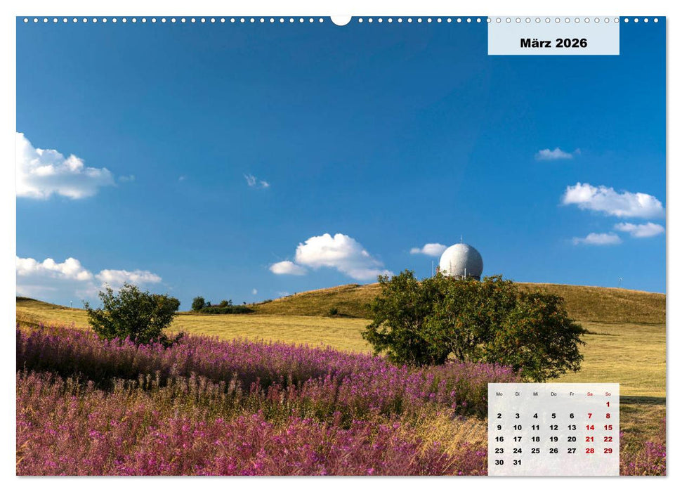 Rhöner Röschen - ein Sommermärchen in der Hochrhön (CALVENDO Premium Wandkalender 2026)