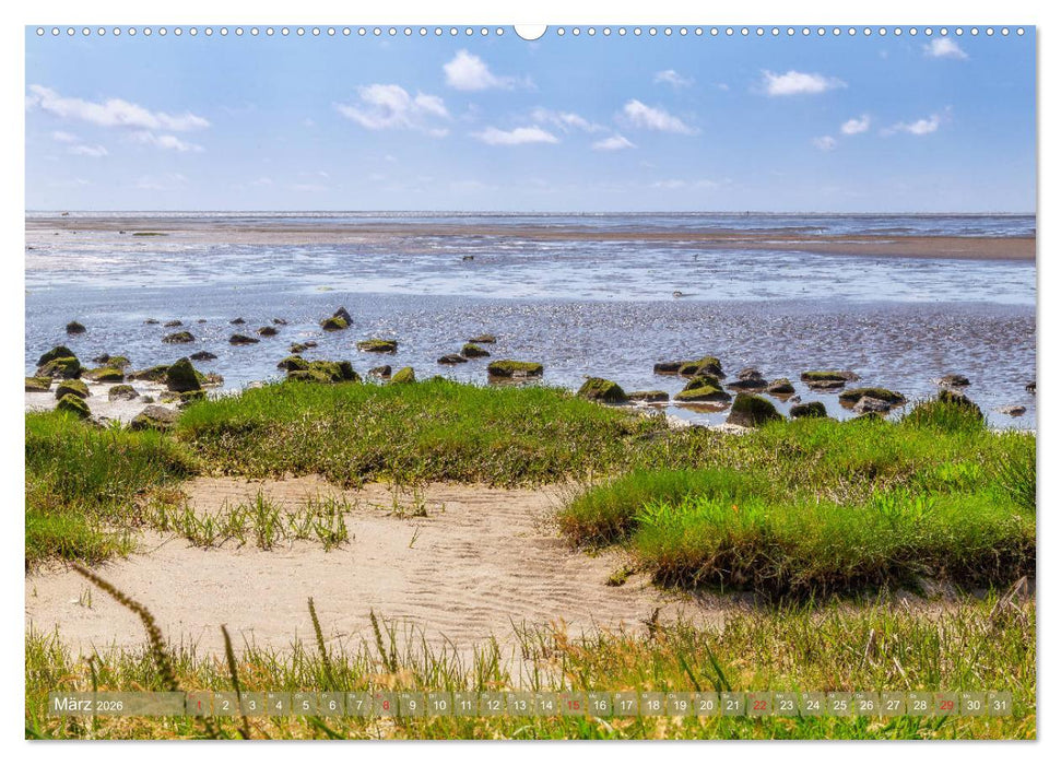 Faszination Eiderstedt (CALVENDO Premium Wandkalender 2026)