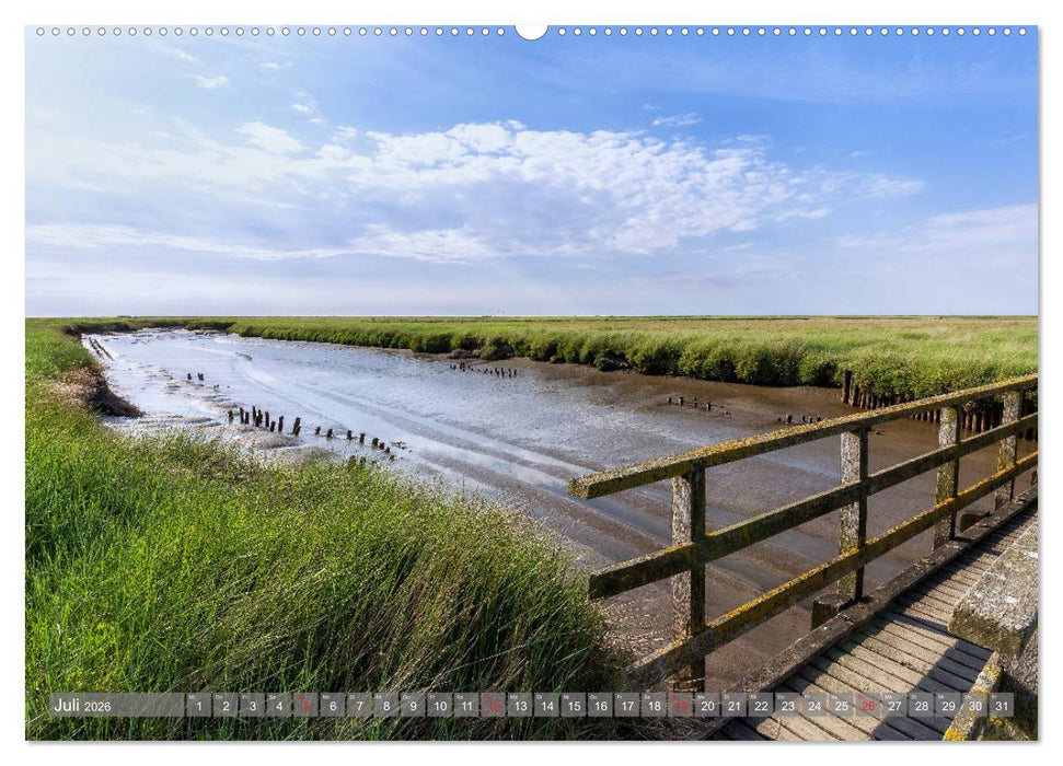 Faszination Eiderstedt (CALVENDO Premium Wandkalender 2026)