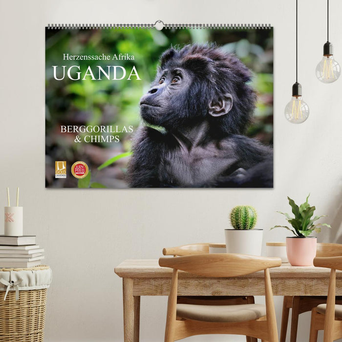 UGANDA - Berggorillas & Chimps (CALVENDO Wandkalender 2026)