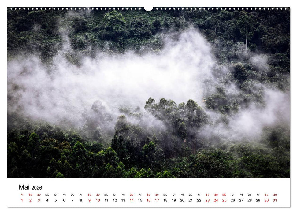 UGANDA - Berggorillas & Chimps (CALVENDO Wandkalender 2026)