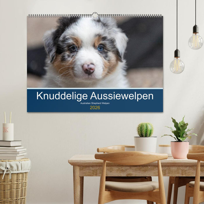 Australian Shepherd Welpen 2026 (CALVENDO Wandkalender 2026)