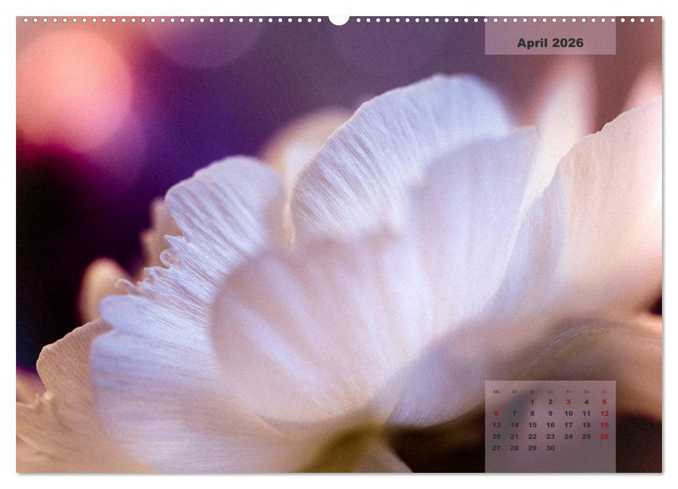 Blüten im Retro-Style (CALVENDO Premium Wandkalender 2026)