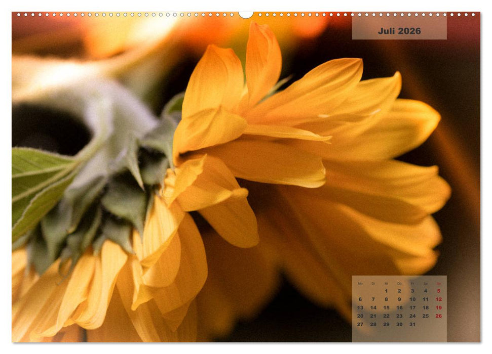 Blüten im Retro-Style (CALVENDO Premium Wandkalender 2026)